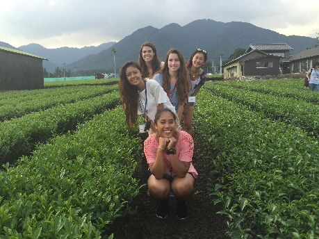 2016 Environmnetal Summit Team Visit a Tea Plantation